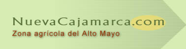 Nueva Cajamarca Alto Mayo